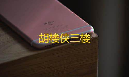 暗区免root科技胡楼侠三楼